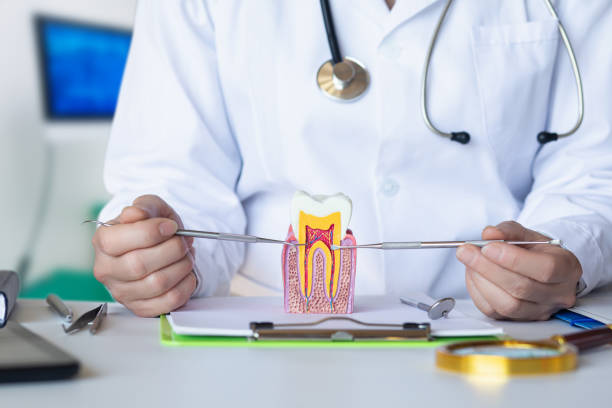 Best Emergency Dental Care for Trauma or Injury in Coventry Lake, CT